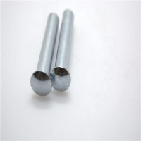 High Quality Standard Fastener Customized Rivet