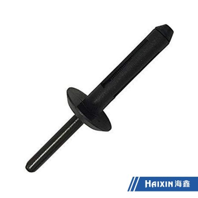 Customized Plastic Injection Moulding Nylon Rivet